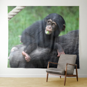 Chimpansee 032 wandkleed