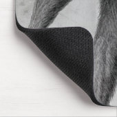 Chimpansee, 1699 muismat (Hoek)