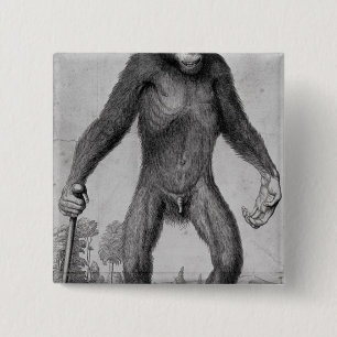 Chimpansee, 1699 vierkante button 5,1 cm