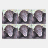 Chimpansee All Occasion Inpakpapier Vel (Voorkant 3)