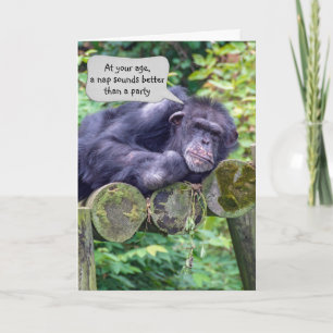 Chimpansee Birthday Humor Kaart