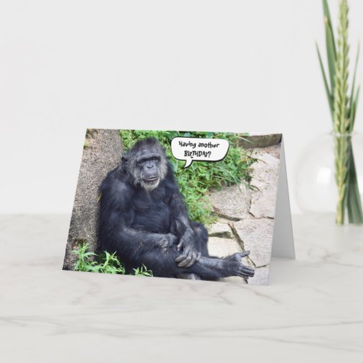 Chimpansee Birthday Humor Kaart (Voorkant)