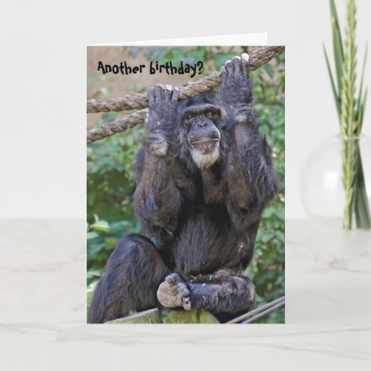 Chimpansee Birthday Humor Kaart (Voorkant)