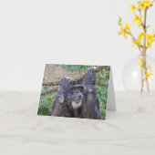 Chimpansee Birthday Humor Kaart (Gele Bloem)