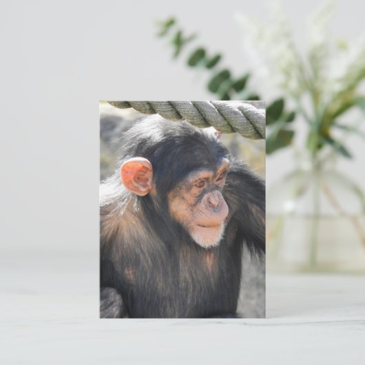 Chimpansee Briefkaart (Staand voorkant)
