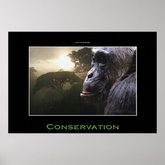 Chimpansee Conservation Wildlife Art Poster (Voorkant)