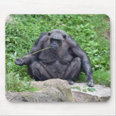 Chimpansee eet gras muismat (Voorkant)