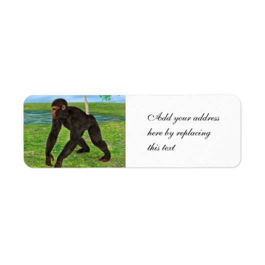 Chimpansee Etiket (Voorkant)