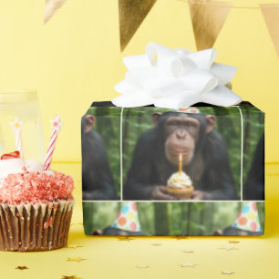 Chimpansee houdt verjaardagscupcake vast cadeaupapier