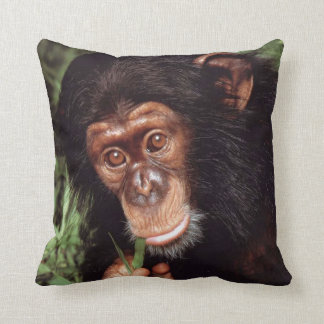 Chimpansee Kussen