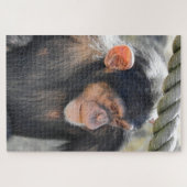 Chimpansee Legpuzzel (Horizontaal)