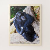 Chimpansee Legpuzzel (Verticaal)