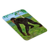 Chimpansee Magneet (Rechterzijde)