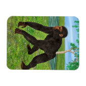 Chimpansee Magneet (Horizontaal)