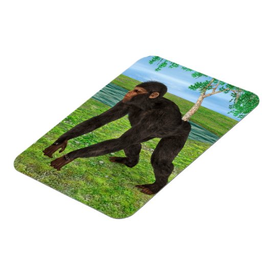 Chimpansee Magneet (Linkerzijde)