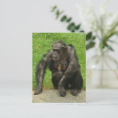 Chimpansee met baby - Briefkaart (Staand voorkant)