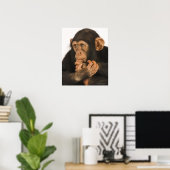 Chimpansee (Pan troglodytes). Jonge speelbal 2 Poster (Thuiskantoor)