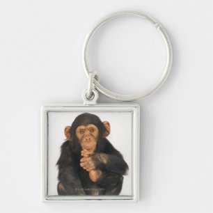 Chimpansee (Pan troglodytes). Jonge speelster Sleutelhanger