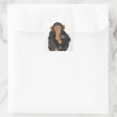 Chimpansee (Pan troglodytes) Vierkante Sticker (Tas)