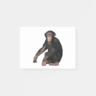 Chimpansee Post-it® Notes