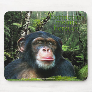 Chimpansee & Rainforest Wildlife-support Mousepad Muismat