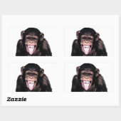 Chimpansee Rechthoekige Sticker (Vel)
