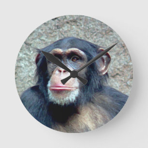 Chimpansee Ronde Klok