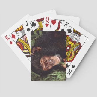 Chimpansee Speelkaarten