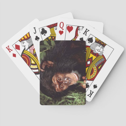 Chimpansee Speelkaarten (Achterkant)