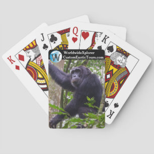 Chimpansee speelt kaarten