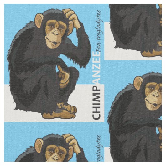 chimpansee stof (Close Up)