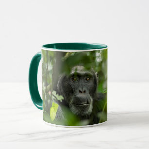Chimpansee Verborgen Tussen De Vegetatie Mok