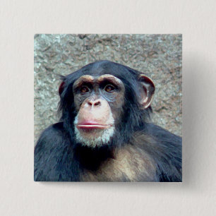 Chimpansee Vierkante Button 5,1 Cm