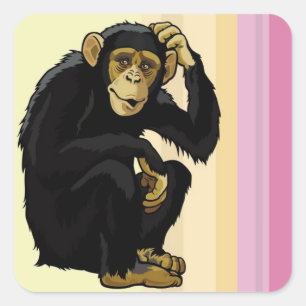chimpansee vierkante sticker