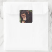 Chimpansee Vierkante Sticker (Tas)