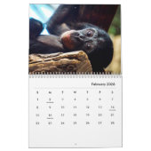 Chimpansee Wall Agenda Kalender (Feb 2026)