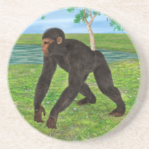 Chimpansee Zandsteen Onderzetter