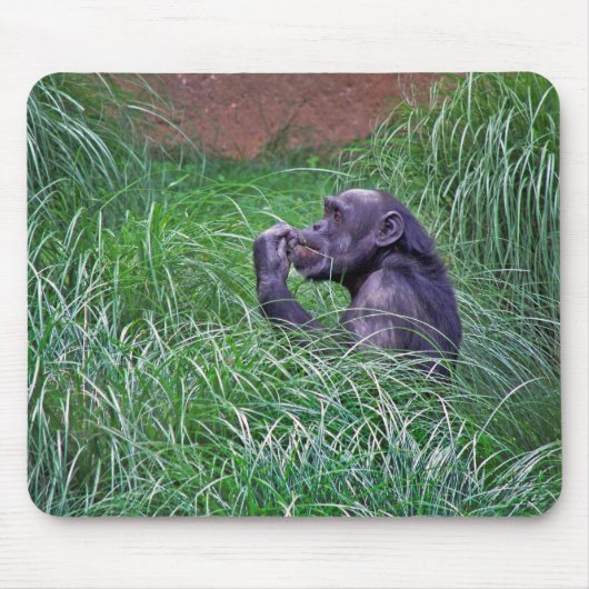 Chimpansee zittend in hoog gras muismat (Voorkant)