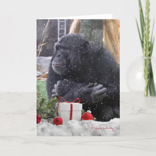 Chimpansees met kerstvreugde! 5x7 lege Kaart