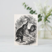Chimpansees Sjabloon uit de 1800-landen Briefkaart (Staand voorkant)