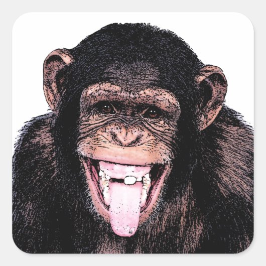Chimpanseetong Vierkante Sticker (Voorkant)