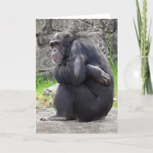 ChimpanseWenskaart Kaart