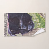 Chimpanzé (Serviette à main)