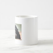 Chimpanzé chimpanzé singe tasse face (Centre)