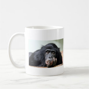 Chimpanzé chimpanzé singe tasse face