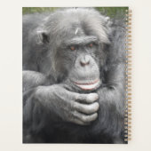 Chimpanzé contemporain (Dos)