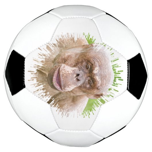 Chimpanzé sans cheveux (Tourné)