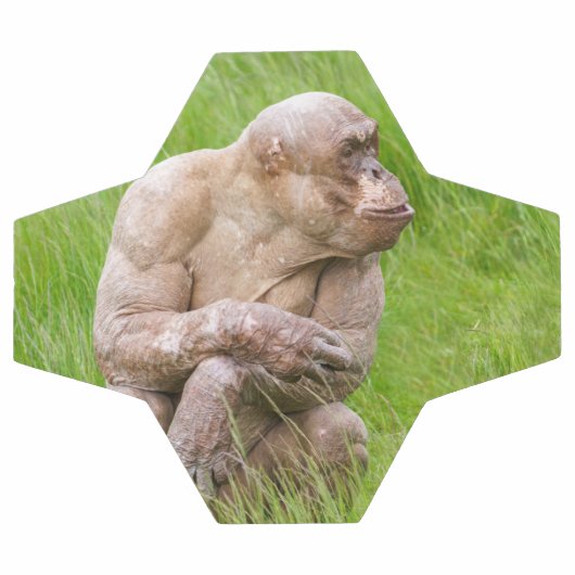 Chimpanzé sans cheveux (Plat)