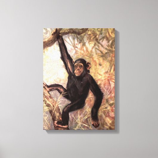 Chimpanzee-aap van CE Swan,  wilde dieren Canvas Afdruk (Voorkant)
