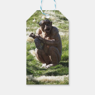 CHIMPANZEE CADEAULABEL